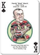 HeroDecks - Chicago Hockey Heroes