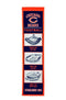 Chicago Bears Stadium Transformation Banner